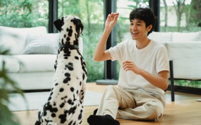 Impulse control for pet dogs: simple, kind exercises that make life easier
