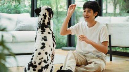 Impulse control for pet dogs: simple, kind exercises that make life easier