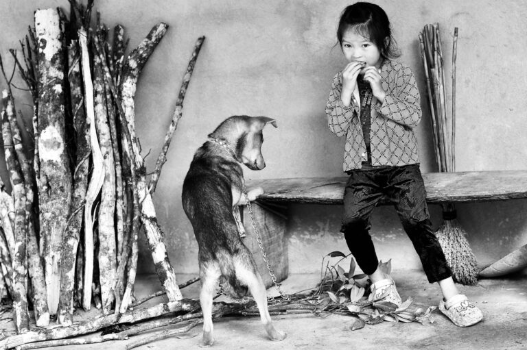 Dog stepping broom