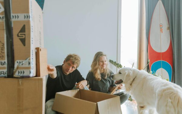 Indoor scent games for dogs that actually fit into a normal day