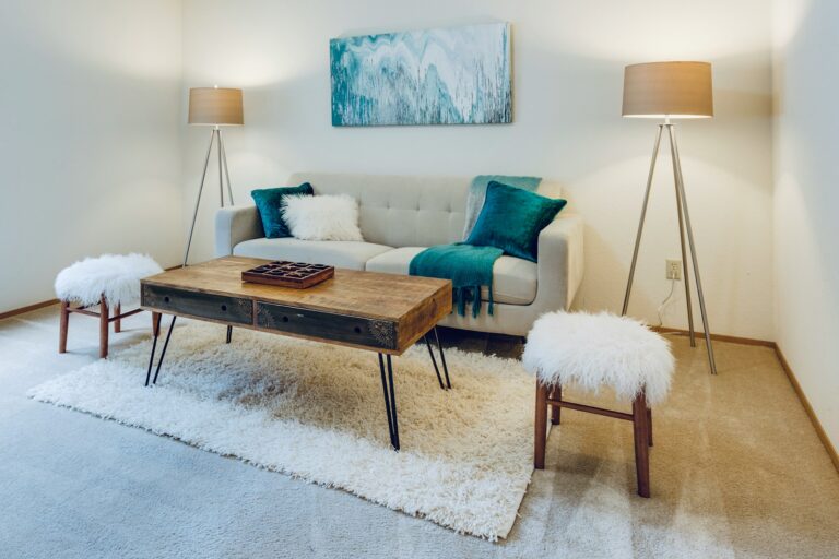 Dog enrichment toys living room carpet