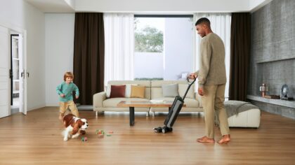 Medium dog breeds for growing families: space, energy and everyday life