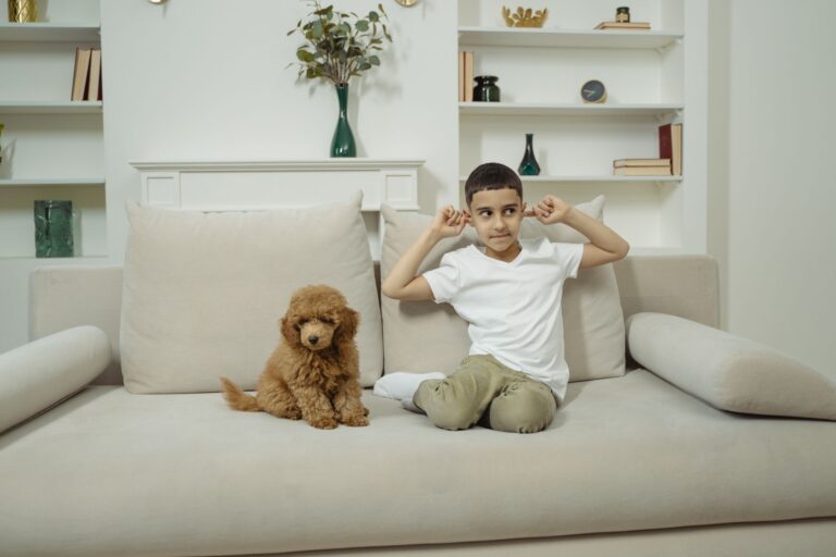 Cute puppy indoors