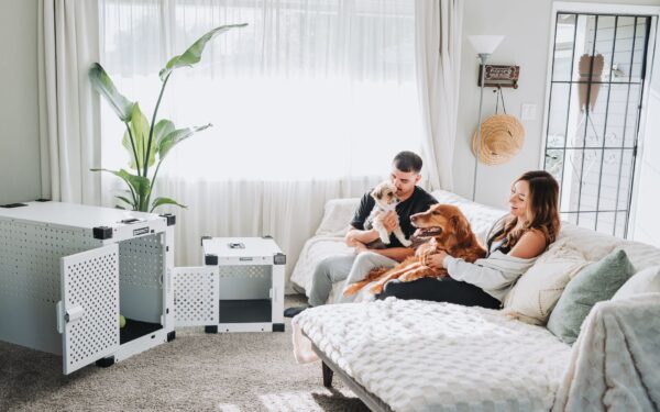 Puppy-proofing your home: practical safety steps before paws arrive
