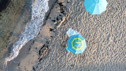 Relaxed dog-friendly beach days and how to plan them safely