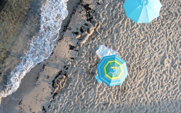 Relaxed dog-friendly beach days and how to plan them safely
