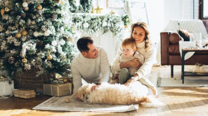 Responsible dog ownership basics for families bringing home a new dog