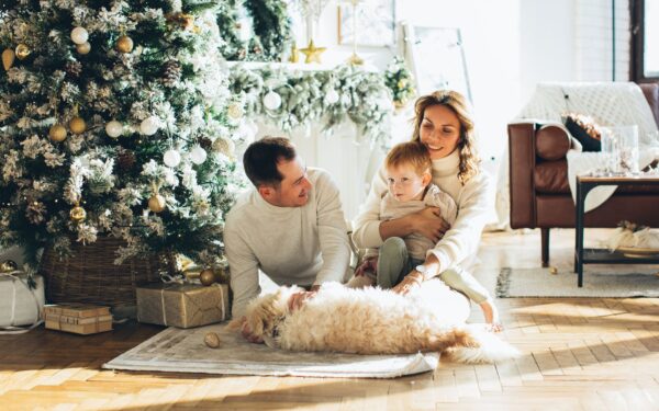 Responsible dog ownership basics for families bringing home a new dog