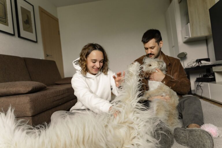 Happy family dog