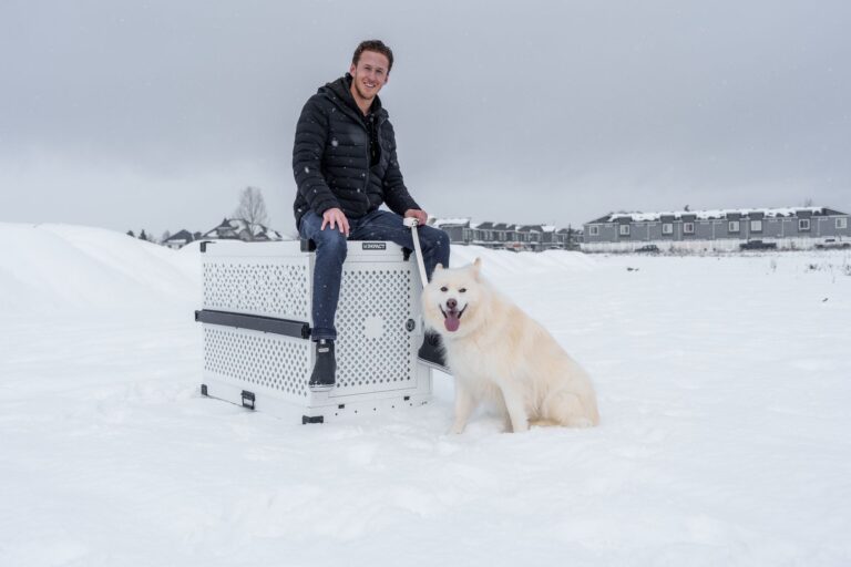 Dog crate suv