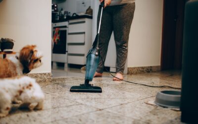 Safe home cleaning around dogs without irritating their skin or paws
