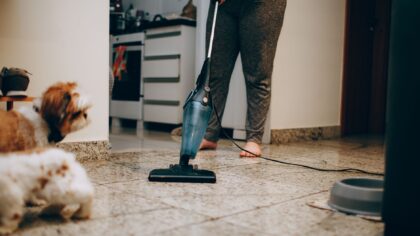 Safe home cleaning around dogs without irritating their skin or paws