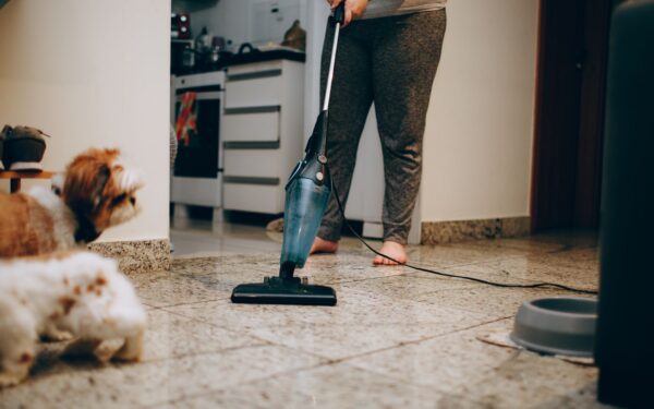 Safe home cleaning around dogs without irritating their skin or paws