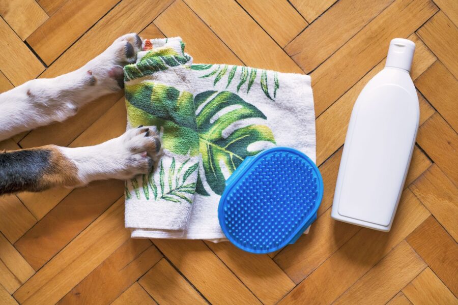 Dog bath tub