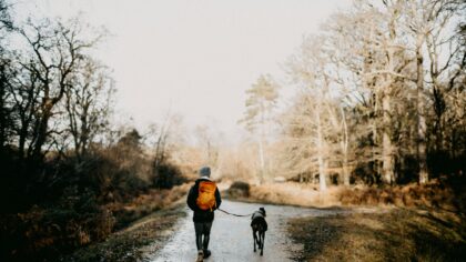 Safe outdoor dog activities through the seasons