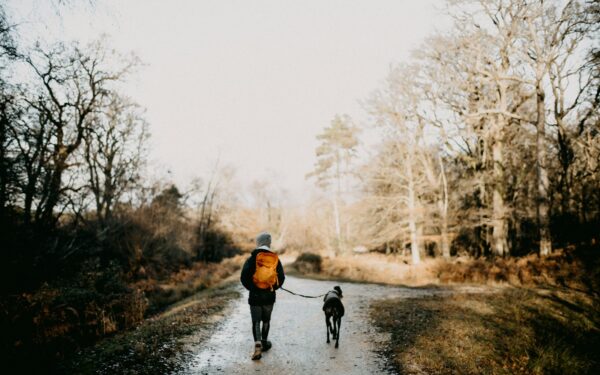 Safe outdoor dog activities through the seasons