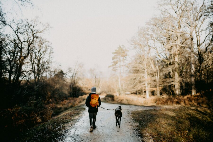 Dog walking trail