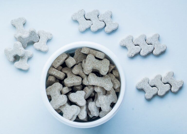 Dog treat bowl