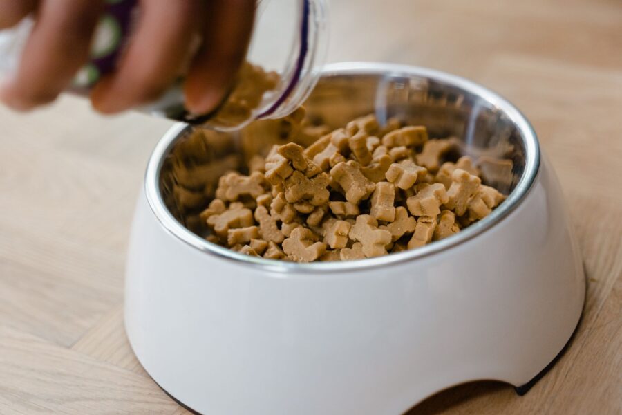Dog treat bowl
