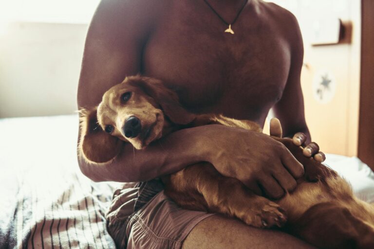 Dog sensitive stomach