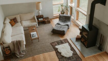 Safe spaces and smart boundaries for a new puppy at home