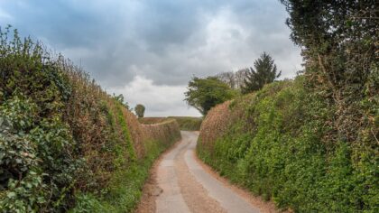 Simple country walks with your dog that turn every day into a small adventure