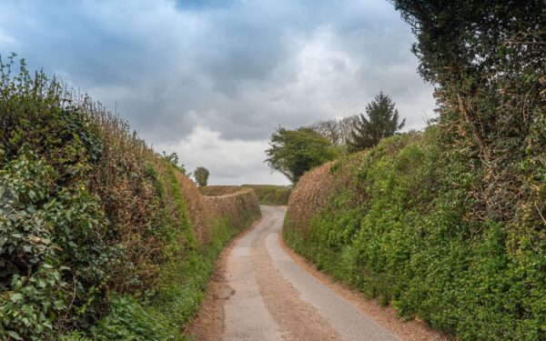 Simple country walks with your dog that turn every day into a small adventure