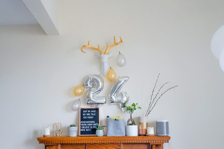 Dog birthday hat homemade cake living room