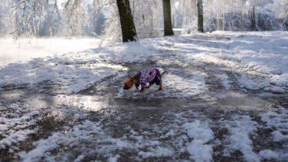 Simple dog clothing that actually makes life easier for you and your dog