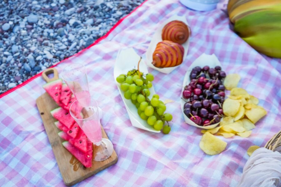 Dog picnic blanket