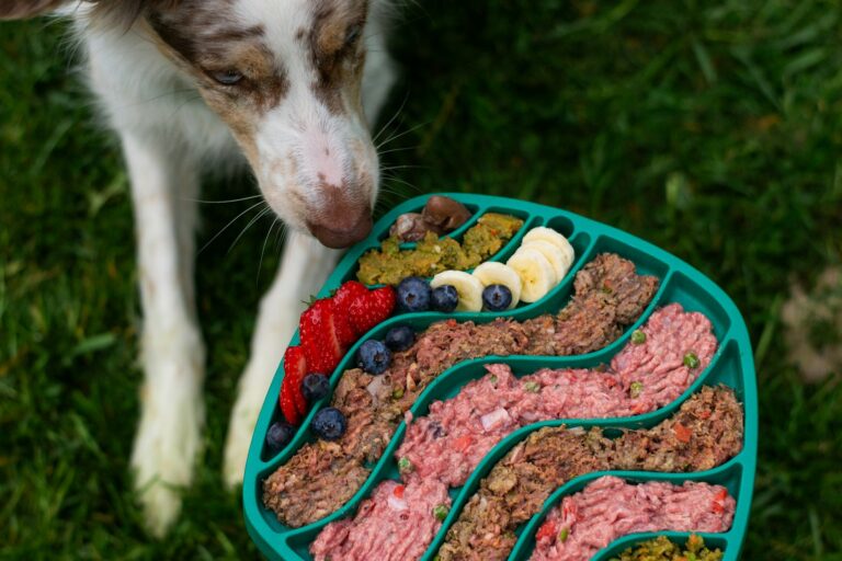 Dog food bowl mat
