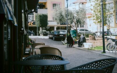 Simple dog social outings that fit into a normal week