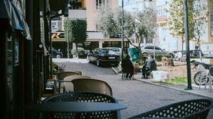 Simple dog social outings that fit into a normal week