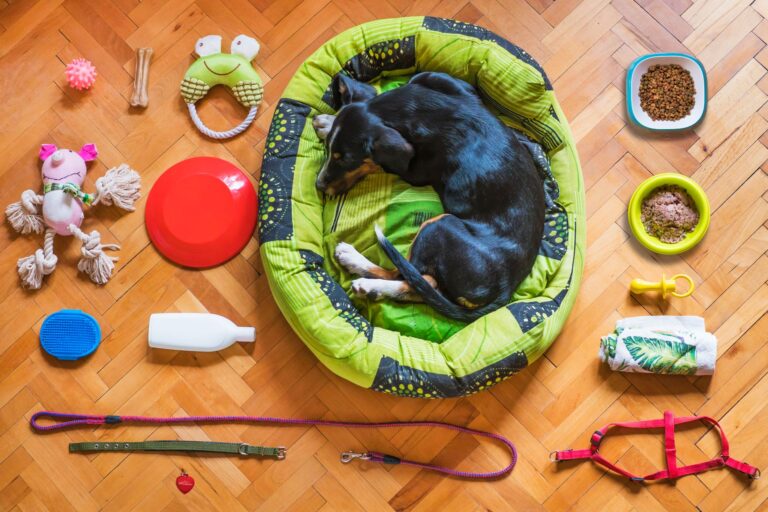 Dog travel bag