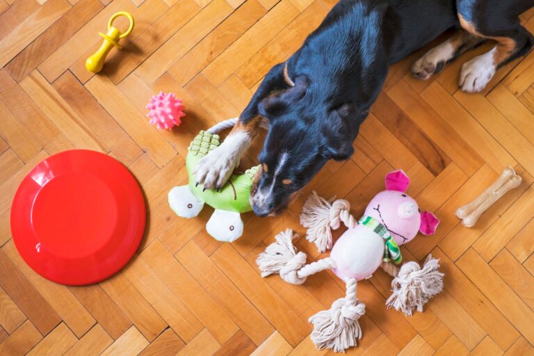 Dog puzzle toy