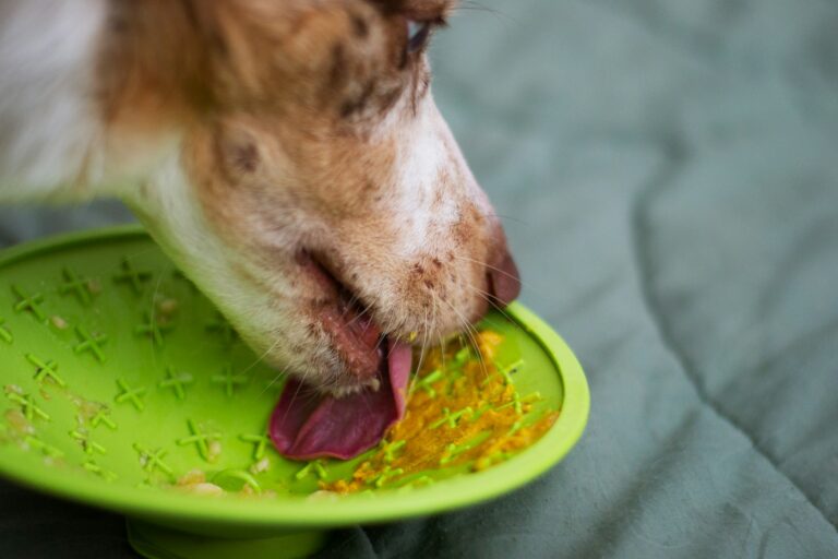 Dog licking mat