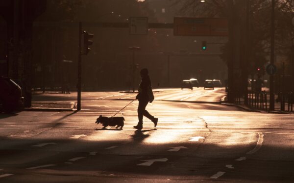 Simple morning routines with your dog that make every day feel calmer