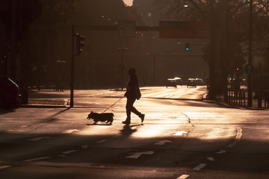 Dog owner morning