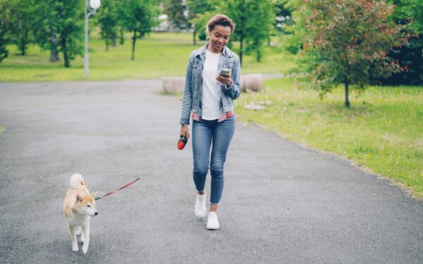 Simple weekend routines that make life easier for you and your dog