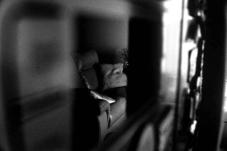 Dog lying suitcase