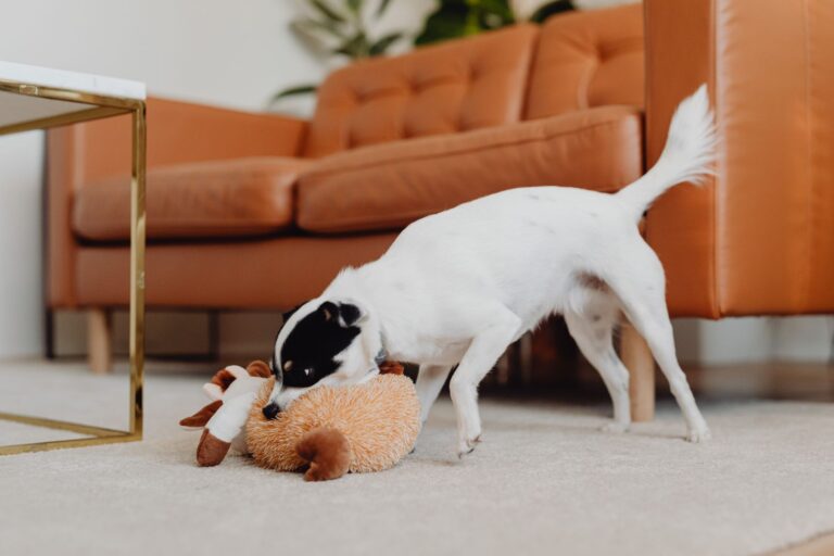 Toy dog apartment
