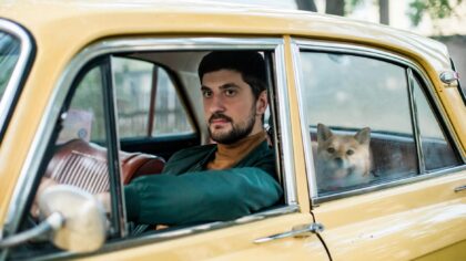 Stress-free car trips with your dog: a practical guide for safe and calm rides