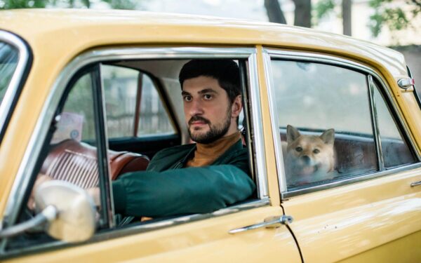 Stress-free car trips with your dog: a practical guide for safe and calm rides