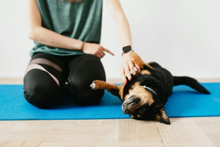 Dog lying mat