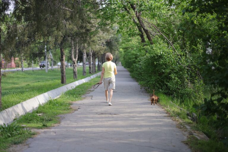 Dog owner weekend