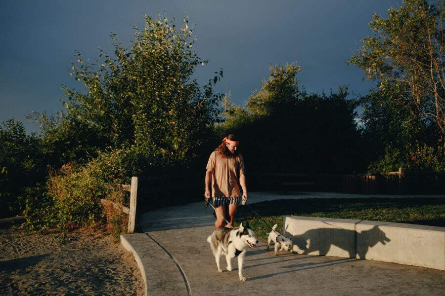 Dog owner weekend