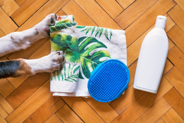 Dog grooming home