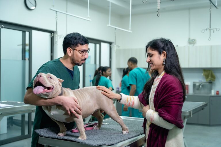 Dog veterinary clinic