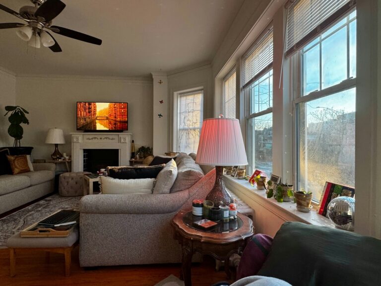 Dog apartment living
