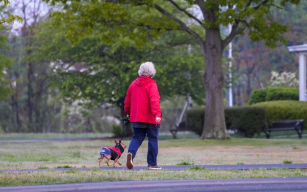 Building good habits with your dog: kind daily routines that support training